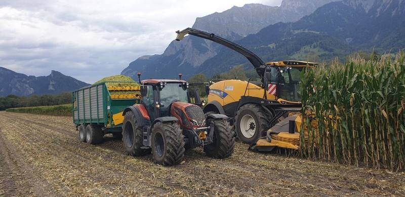 Gelber Feldhäcksler erntet Mais, daneben Traktor mit Häckselwagen vor Bergen