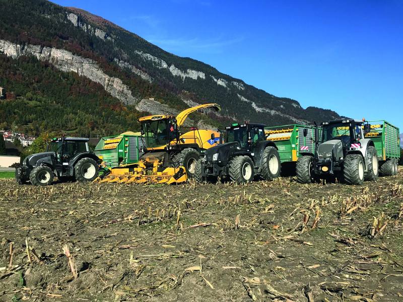 Maisernte mit Silierkette: Feldhäcksler und zwei Traktoren mit Häckselwagen auf dem Feld